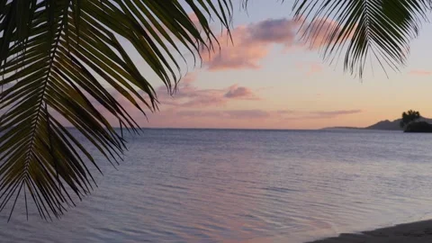 Tropical Ocean Sunset Framed by Palm Trees in Slow Motion Stock Footage 325481602