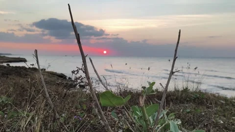 Tropical Ocean Sunset View From Coastal Cliff with Foliage Stock Footage 341505559