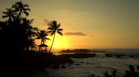 Tropical ocean sunset with waves and palm tree silhouette - Hawaii coast Stock Footage 60914006