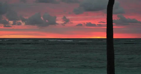 Tropical Ocean With Tree At Dawn Vídeo Stock 145552302