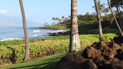 Tropical ocean view with palm trees, coastal vegetation, and a resort buildin Stock Footage 302309257