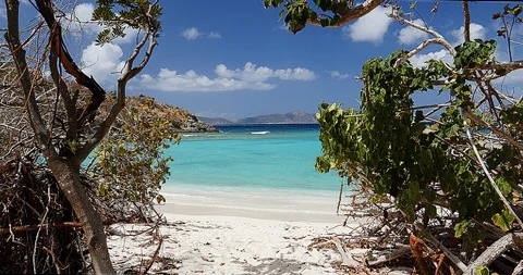 Tropical ocean view through the trees, jumbie bay beach Video stock 88415207