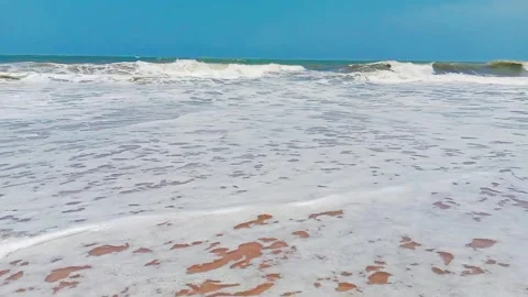 Tropical ocean waves crashing on sandy beach sunny day Stock Footage 346335914