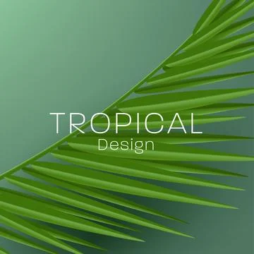 Tropical palm leaf detailed render illustration, realistic vector shape Stock Illustration