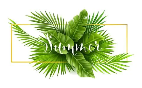 Tropical palm leaf isolated on white background. Realistic green summer plant Stock Illustration