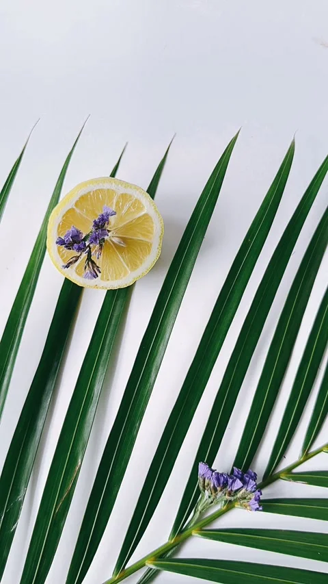 Tropical palm leaf, lemons,top-down, Stock Footage 267164234