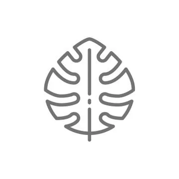 Tropical palm leaf, monstera leaf plant line icon. Stock Illustration