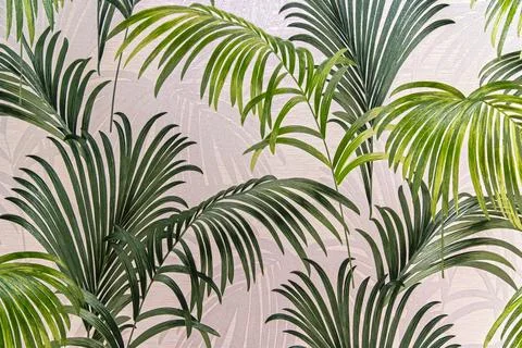 Tropical palm leaf pattern on wallpaper. Stock Photos
