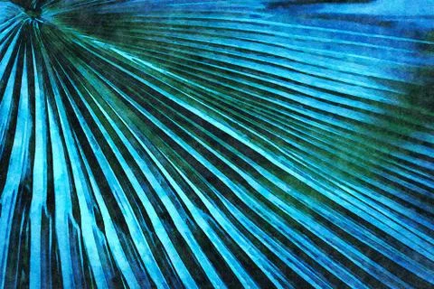 Tropical palm leaf Stock Photos