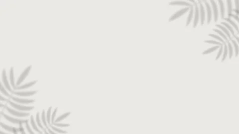 Tropical palm leaf shadow corner frame on white background with copy space Video stock 336915313