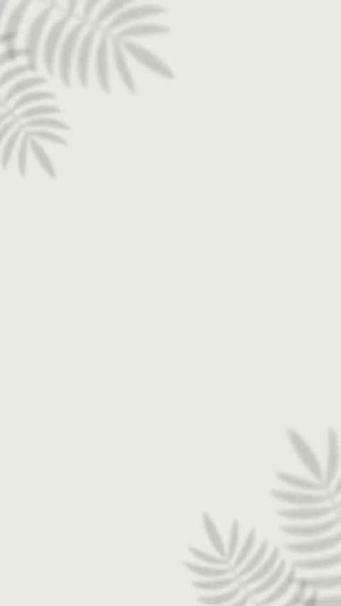 Tropical palm leaf shadow corner frame on white background with copy space Stock-Footage 336915318
