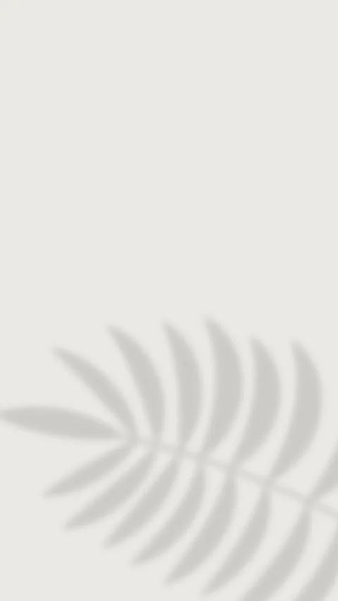 Tropical palm leaf shadow on the right side with copy space on white background Video stock 336915316