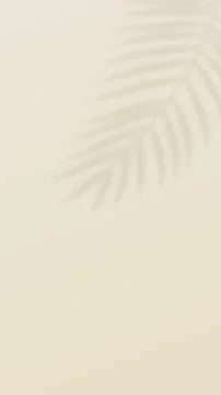 Tropical palm leaf shadow. Soft color background Stock Illustration