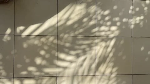 Tropical Palm Leaf Shadows on Beige Tile Floor in Warm Sunlight Stock Footage 339025107