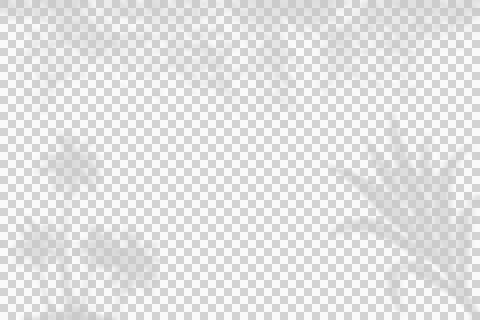 Tropical palm leaf shadows overlay for creative design and summer aesthetic. イラスト素材