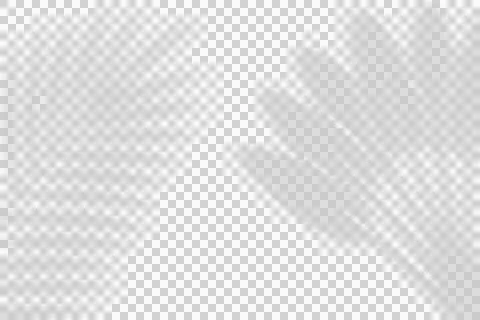 Tropical palm leaf shadows overlay for creative design and natural light . 스톡 일러스트