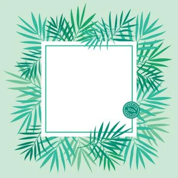 Tropical palm leaves background, template Stock Illustration