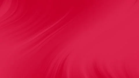 Tropical Palm Leaves Casting Moving Shadows on a Bright Red Wall Background. Stock Footage 318940880