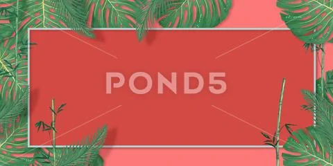 Tropical palm leaves frame on coral backdrop. Summer tropical leaf. Exotic ha Stock Illustration