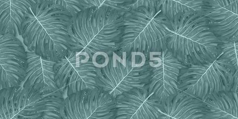 Tropical palm leaves frame on coral backdrop. Summer tropical leaf. Exotic ha Stock Illustration