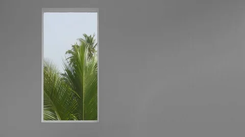Tropical Palm Leaves Framed in Rectangular Window Video stock 77047943