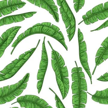 Tropical palm leaves seamless pattern, jungle banana Stock Illustration