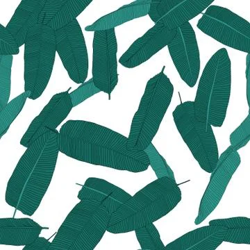 Tropical Palm Leaves Seamless Pattern Background. Vector Illustration Illustrazione stock