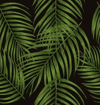 Tropical palm leaves seamless pattern . Stock Photos