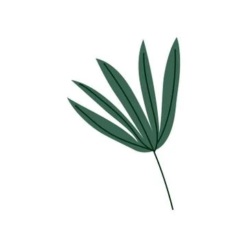 Tropical Palm Split Leaf, Botanical Design Element Vector Illustration Stock Illustration