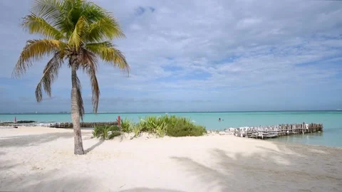 Tropical palm tree against the blue sky on a Caribbean beach. Stock Footage 168934031