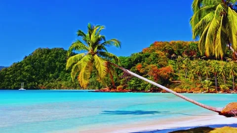 Tropical Palm Tree Against Remote Island and Ocean in 4K Stock Footage 314162358