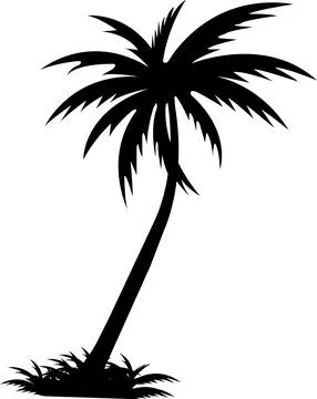 Tropical palm tree and leaf silhouette. Black palm tree. Design of palm tre.. Stock Illustration