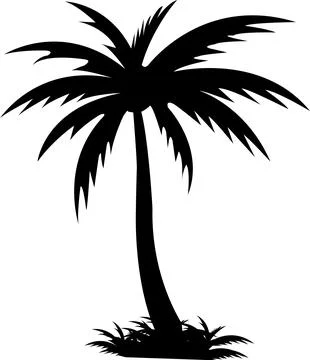 Tropical palm tree and leaf silhouette. Black palm tree. Design of palm tre.. Stock Illustration