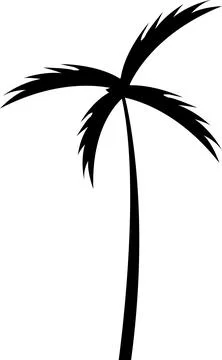 Tropical palm tree and leaf silhouette. Black palm tree. Design of palm tre.. Stock Illustration