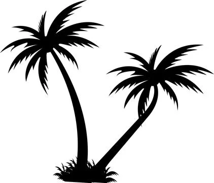 Tropical palm tree and leaf silhouette. Black palm tree. Design of palm tre.. Stock Illustration