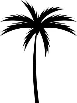 Tropical palm tree and leaf silhouette. Black palm tree. Design of palm tre.. Stock Illustration