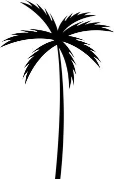 Tropical palm tree and leaf silhouette. Black palm tree. Design of palm tre.. Stock Illustration