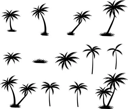 Tropical palm tree and leaf silhouette set. Black palm tree collection. Des.. Stock Illustration