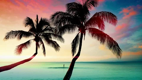 Tropical Palm Tree Beach Travel Background, Vacation Landscape Sunset Vista Stock Footage