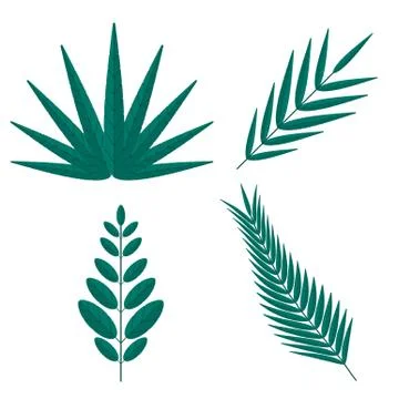 Tropical palm tree branches 스톡 일러스트