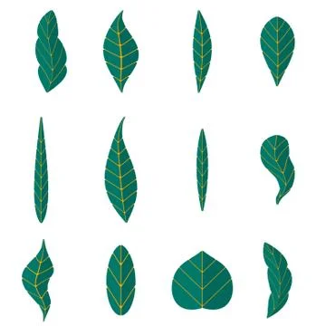 Tropical palm tree branches Illustrazione stock