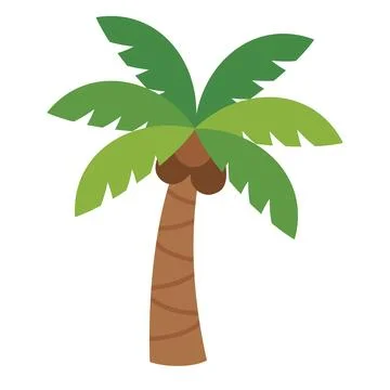 Tropical Palm Tree with Coconuts Vector Illustration Stock Illustration