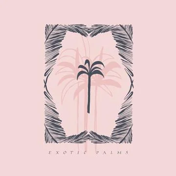 Tropical Palm Tree in Hand Drawn Frame, Exotic Botanical Line Art, Summer Stock Illustration