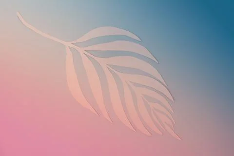 Tropical palm tree leaf shadow on neon light. Minimal nature flat lay backgro Stock Photos