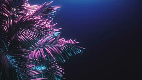 Tropical palm tree at night. Neon light. Video stock 112105369