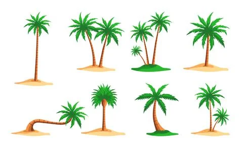 Tropical Palm Tree Set Stock Illustration