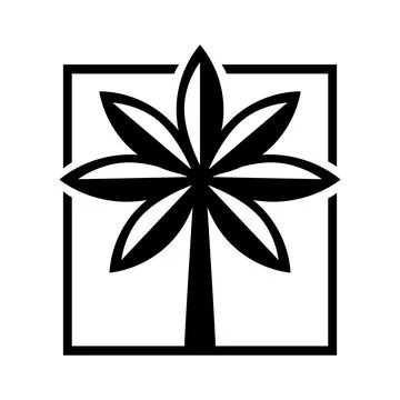 Tropical Palm Tree Square Logo Minimal Vector Icon Stock Illustration