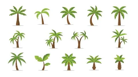 Tropical palm trees collection featuring various exotic plant shapes and gr.. Illustration