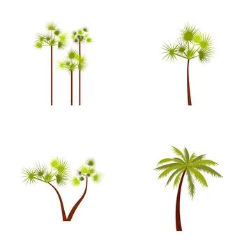 Tropical palm trees collection flat design icons Illustration
