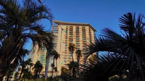 Tropical palm trees framing modern hotel building 스톡 동영상 337889891
